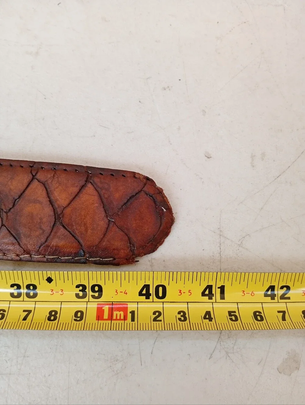 Anteater Leather Men’s Belt
